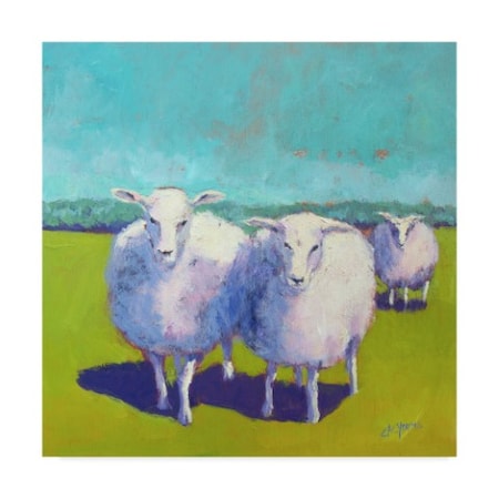 Carol Young 'Sheep Pals I' Canvas Art,24x24